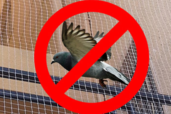   Pigeon Safety Nets  in ECIL  